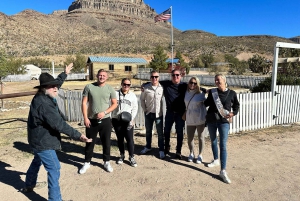 Horseback Ride thru Joshua Tree Forest with Buffalo & Lunch