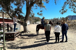 Horseback Ride thru Joshua Tree Forest with Buffalo & Lunch