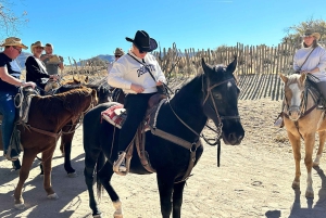 Horseback Ride thru Joshua Tree Forest with Buffalo & Lunch
