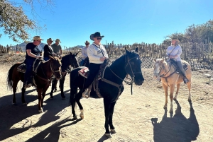 Horseback Ride thru Joshua Tree Forest with Buffalo & Lunch