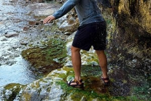 Wanderung zu den heißen Quellen am Goldstrike Canyon mit sechs dampfenden Wasserfällen