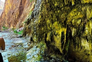 Wanderung zu den heißen Quellen am Goldstrike Canyon mit sechs dampfenden Wasserfällen