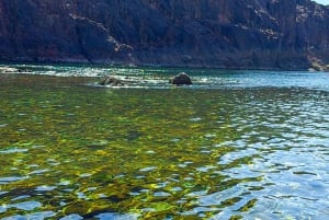 Wanderung zu den heißen Quellen am Goldstrike Canyon mit sechs dampfenden Wasserfällen