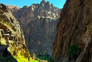 Wanderung zu den heißen Quellen am Goldstrike Canyon mit sechs dampfenden Wasserfällen