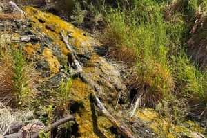 Wanderung zu den heißen Quellen am Goldstrike Canyon mit sechs dampfenden Wasserfällen