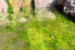 Wanderung zu den heißen Quellen am Goldstrike Canyon mit sechs dampfenden Wasserfällen
