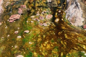 Wanderung zu den heißen Quellen am Goldstrike Canyon mit sechs dampfenden Wasserfällen