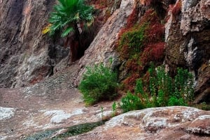 Wanderung zu den heißen Quellen am Goldstrike Canyon mit sechs dampfenden Wasserfällen