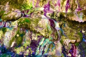 Wanderung zu den heißen Quellen am Goldstrike Canyon mit sechs dampfenden Wasserfällen