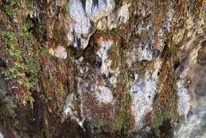 Wanderung zu den heißen Quellen am Goldstrike Canyon mit sechs dampfenden Wasserfällen