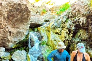 Wandeltocht naar de warmwaterbronnen bij Goldstrike Canyon Six Steamy Waterfall