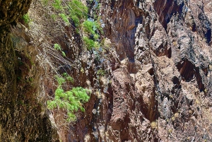 Wandeltocht naar de warmwaterbronnen bij Goldstrike Canyon Six Steamy Waterfall