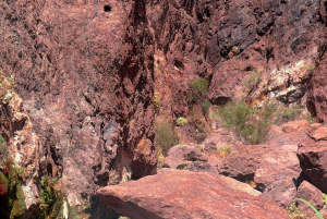 Wandeltocht naar de warmwaterbronnen bij Goldstrike Canyon Six Steamy Waterfall