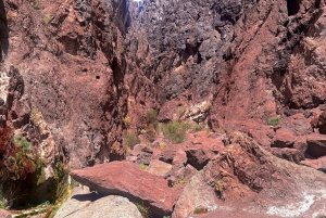 Wandeltocht naar de warmwaterbronnen bij Goldstrike Canyon Six Steamy Waterfall