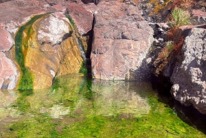 Wandeltocht naar de warmwaterbronnen bij Goldstrike Canyon Six Steamy Waterfall