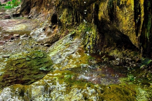 Wandeltocht naar de warmwaterbronnen bij Goldstrike Canyon Six Steamy Waterfall