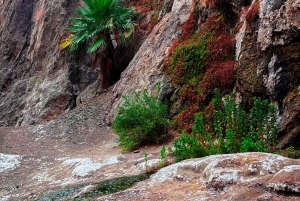 Wandeltocht naar de warmwaterbronnen bij Goldstrike Canyon Six Steamy Waterfall