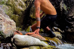 Wandeltocht naar de warmwaterbronnen bij Goldstrike Canyon Six Steamy Waterfall