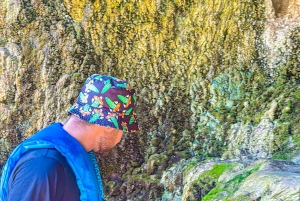 Wandeltocht naar de warmwaterbronnen bij Goldstrike Canyon Six Steamy Waterfall