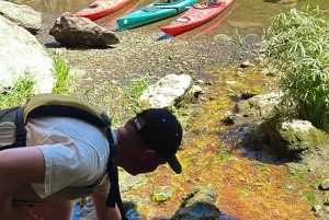 Wandeltocht naar de warmwaterbronnen bij Goldstrike Canyon Six Steamy Waterfall