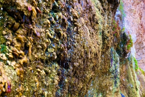 Wandeltocht naar de warmwaterbronnen bij Goldstrike Canyon Six Steamy Waterfall