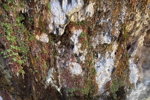 Wandeltocht naar de warmwaterbronnen bij Goldstrike Canyon Six Steamy Waterfall