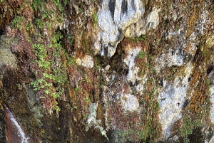 Wandeltocht naar de warmwaterbronnen bij Goldstrike Canyon Six Steamy Waterfall