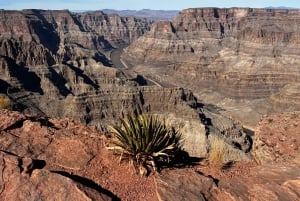 Omvisning i Grand Canyon med fransk guide, inkludert Skywalk