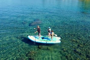 Lago Mead: Tour guiado en tabla de paddle gigante incluye 4 personas