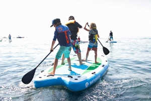 Lac Mead : Visite guidée en paddle board géant pour 4 personnes