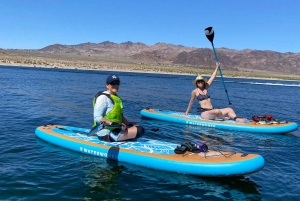 Lago Mead: Alquiler de tablas de paddle surf