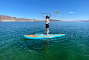 Lago Mead: Alquiler de tablas de paddle surf