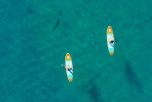 Lago Mead: Alquiler de tablas de paddle surf