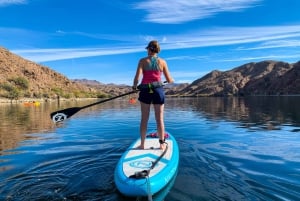 Lake Mead: Udlejning af paddleboards nær Las Vegas