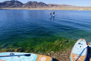 Lake Mead: Uthyrning av paddelbrädor nära Las Vegas