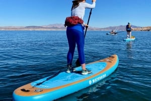 Lake Mead: Paddle board verhuur in de buurt van Las Vegas