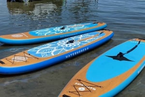 Lago Mead: Noleggio di Stand up Paddle board vicino a Las Vegas