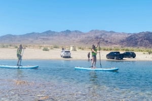 Lake Mead: Paddle board verhuur in de buurt van Las Vegas