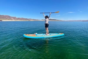 Excursión en Paddle Board por el Lago Mead (Privado)