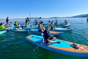 Excursión en Paddle Board por el Lago Mead (Privado)