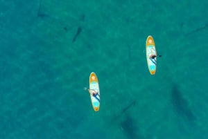 Excursión en Paddle Board por el Lago Mead (Privado)