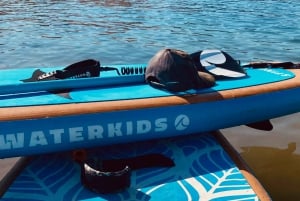 Lake Mead: Stand up Paddle board rentals near Las Vegas