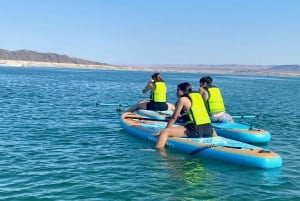 Lake Mead: Stand up Paddle board uthyrning nära Las Vegas