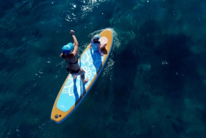 Lake Mead: Stand up paddle board-tur til Boulder Island