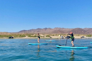 Excursion en Stand up Paddle board sur le lac Mead