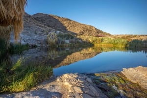 Lake Mead e Valley of Fire State Park: tour guidato con audioguida