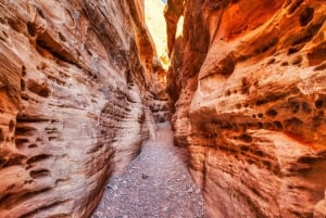 Lake Mead & Valley of Fire State Park Self-Guided Audio Tour