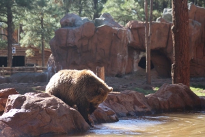 Las Vegas 2 jours Grand Canyon Railway Bearizona Meteor Crater