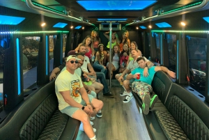 Las Vegas flyplass: Festbuss 1-veis