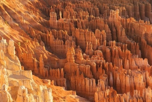 Las Vegas: tour di Antelope Canyon, Bryce, Zion e Horseshoe Bend